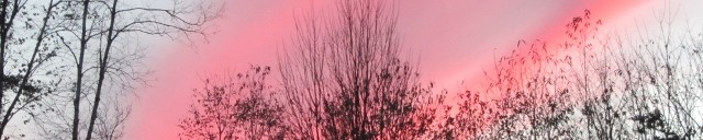 Eden, Vermont 05652